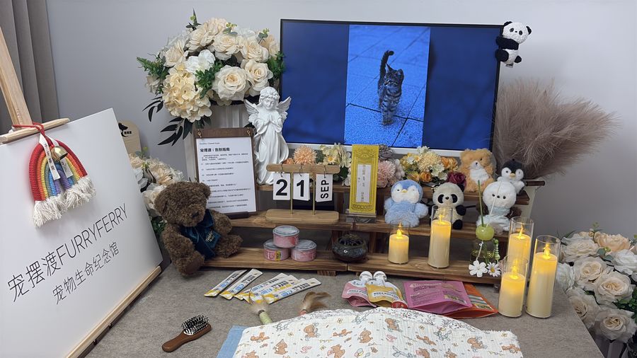 安静的仪式感